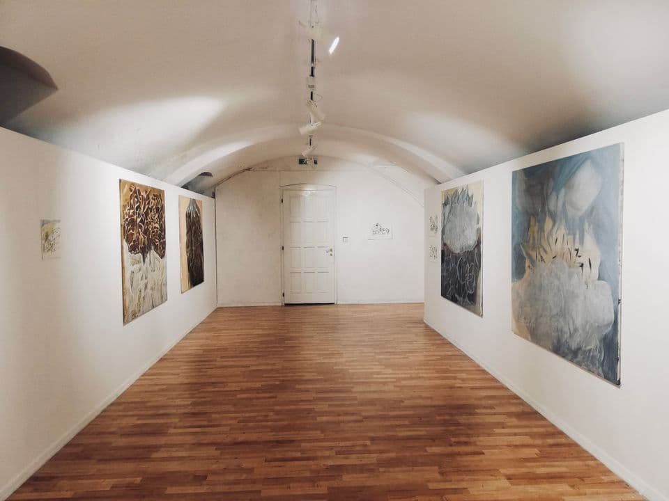 Lucia Oleňová / ZNOVUNÁJDENÁ KRAJINA