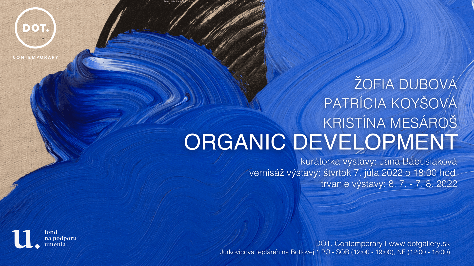 Žofia Dubová, Patrícia Koyšová, Kristína Mesároš / ORGANIC DEVELOPMENT